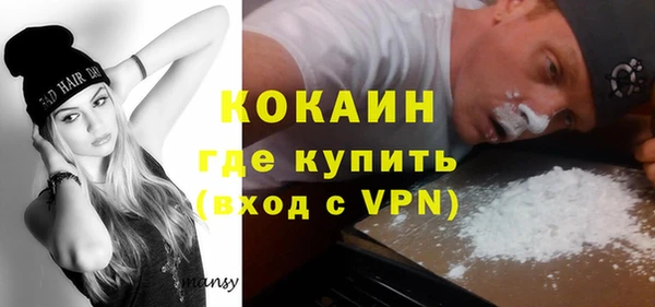соль ск Алексин