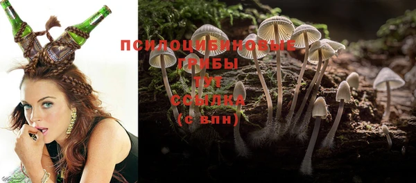 прущая мука Алзамай