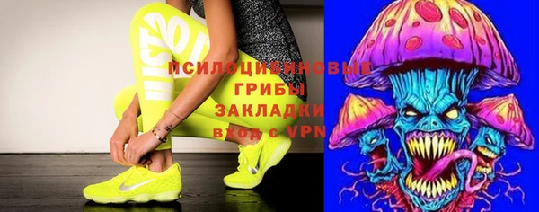 PSILOCYBIN Михайлов