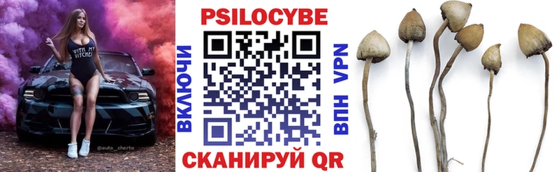 Галлюциногенные грибы прущие грибы  Чайковский 